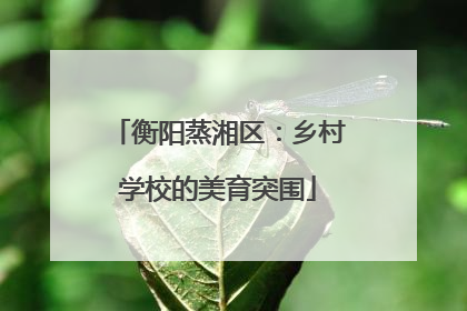 衡阳蒸湘区：乡村学校的美育突围