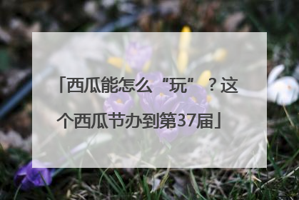 西瓜能怎么“玩”？这个西瓜节办到第37届