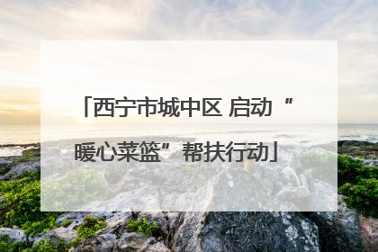 西宁市城中区 启动“暖心菜篮”帮扶行动