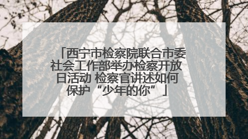 西宁市检察院联合市委社会工作部举办检察开放日活动 检察官讲述如何保护“少年的你”