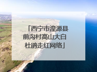 西宁市湟源县前沟村高山大白杜鹃走红网络