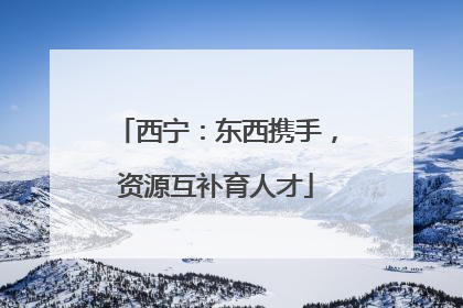 西宁：东西携手，资源互补育人才