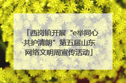 西岗镇开展“e举同心·共护清朗”第五届山东网络文明周宣传活动