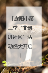襄阳市第二季“非遗进社区”活动盛大开启