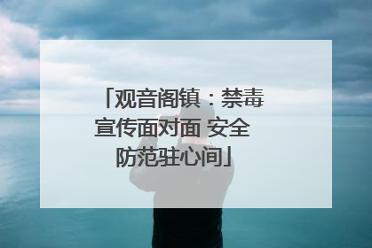 观音阁镇：禁毒宣传面对面 安全防范驻心间