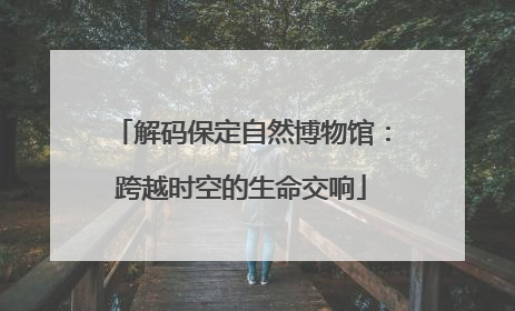 解码保定自然博物馆：跨越时空的生命交响