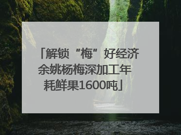 解锁“梅”好经济 余姚杨梅深加工年耗鲜果1600吨