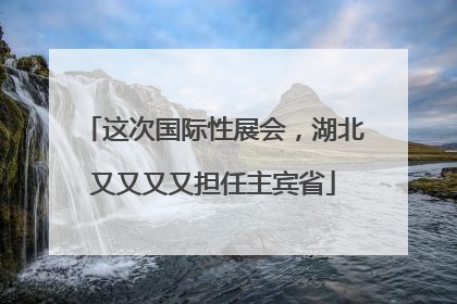 这次国际性展会，湖北又又又又担任主宾省