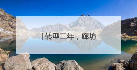 转型三年，廊坊经洽会让“河北离世界更近了”