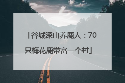 谷城深山养鹿人：70只梅花鹿带富一个村