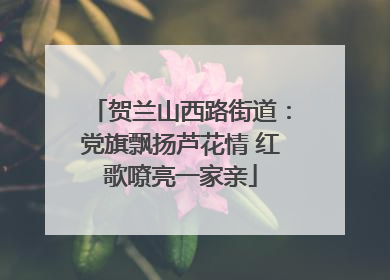 贺兰山西路街道：党旗飘扬芦花情 红歌嘹亮一家亲