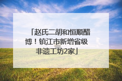 赵氏二胡和恒顺醋博！镇江市新增省级非遗工坊2家
