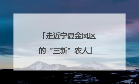 走近宁夏金凤区的“三新”农人