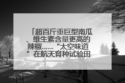 超百斤重巨型南瓜、维生素含量更高的辣椒……“太空味道”在航天育种试验田里拔节生长