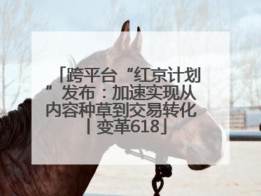 跨平台“红京计划”发布：加速实现从内容种草到交易转化丨变革618