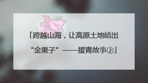 跨越山海，让高原土地结出“金果子”——援青故事②