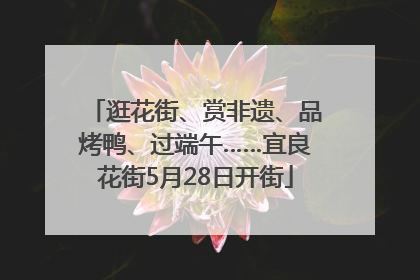 逛花街、赏非遗、品烤鸭、过端午……宜良花街5月28日开街