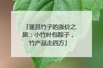 遂昌竹子的涨价之旅：小竹叶包粽子，竹产品走四方