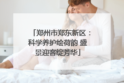 郑州市郑东新区：科学养护绘荷韵 盛景迎客绽芳华