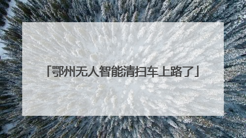 鄂州无人智能清扫车上路了
