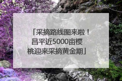 采摘路线图来啦！昌平近5000亩樱桃迎来采摘黄金期