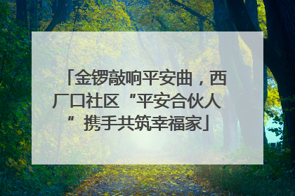 金锣敲响平安曲，西厂口社区“平安合伙人”携手共筑幸福家