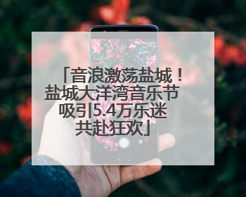 音浪激荡盐城！盐城大洋湾音乐节吸引5.4万乐迷共赴狂欢