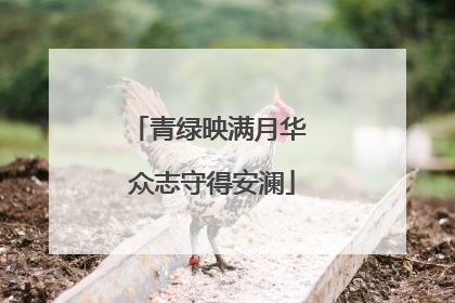 青绿映满月华 众志守得安澜