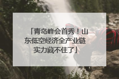 青岛峰会首秀！山东低空经济全产业链实力藏不住了