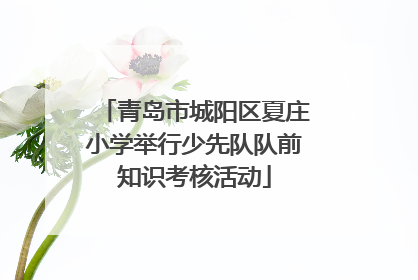青岛市城阳区夏庄小学举行少先队队前知识考核活动