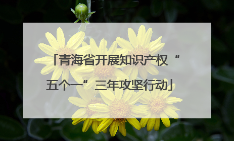 青海省开展知识产权“五个一”三年攻坚行动