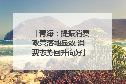 青海：提振消费政策落地显效 消费态势回升向好