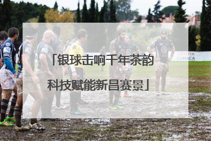 银球击响千年茶韵 科技赋能新昌赛景