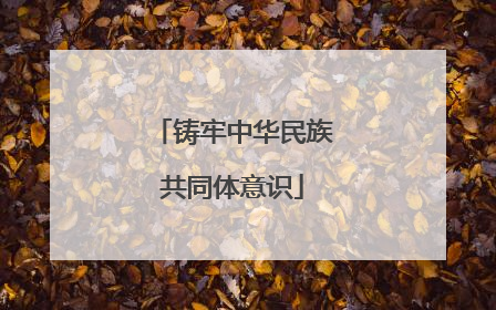 铸牢中华民族共同体意识