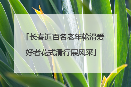 长春近百名老年轮滑爱好者花式滑行展风采