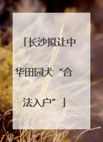 长沙拟让中华田园犬“合法入户”