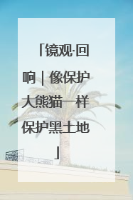 镜观·回响｜像保护大熊猫一样保护黑土地