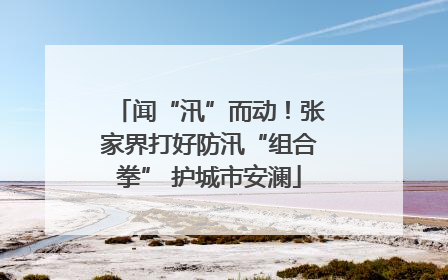 闻“汛”而动！张家界打好防汛“组合拳” 护城市安澜