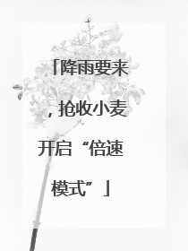 降雨要来，抢收小麦开启“倍速模式”