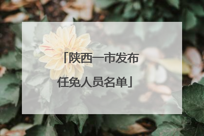 陕西一市发布任免人员名单