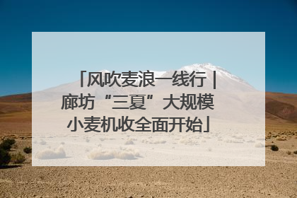 风吹麦浪一线行｜廊坊“三夏”大规模小麦机收全面开始