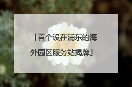 首个设在浦东的海外园区服务站揭牌