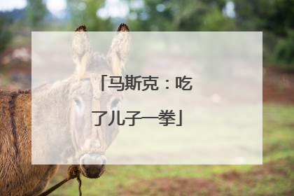 马斯克：吃了儿子一拳