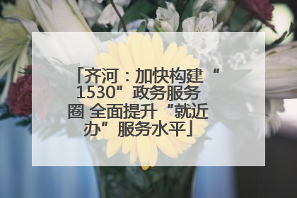 齐河：加快构建“1530”政务服务圈 全面提升“就近办”服务水平