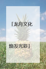 龙舟文化焕发光彩