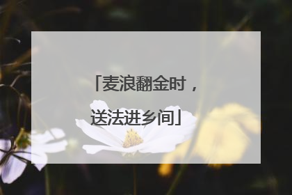 麦浪翻金时，送法进乡间