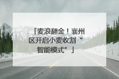 麦浪翻金！襄州区开启小麦收割“智能模式”