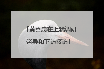 黄喜忠在上犹调研督导和下访接访
