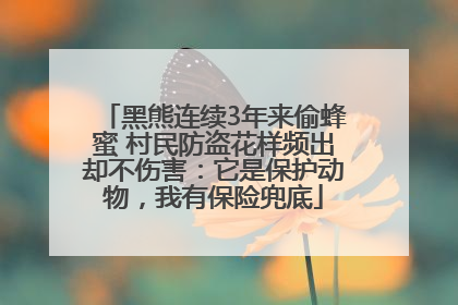 黑熊连续3年来偷蜂蜜 村民防盗花样频出却不伤害：它是保护动物，我有保险兜底