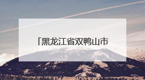 黑龙江省双鸭山市人民政府原副秘书长马为先接受纪律审查和监察调查